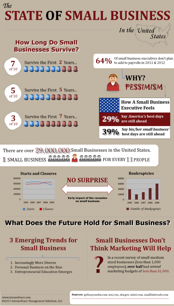 State of Small Business in the United States Infographic