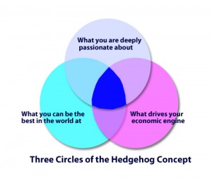 Hedgehog Concept Three Circles
